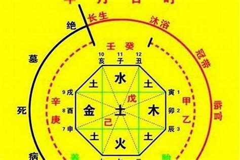 喜木火 忌金水|八字格局中的雜奇格——兩神成象格